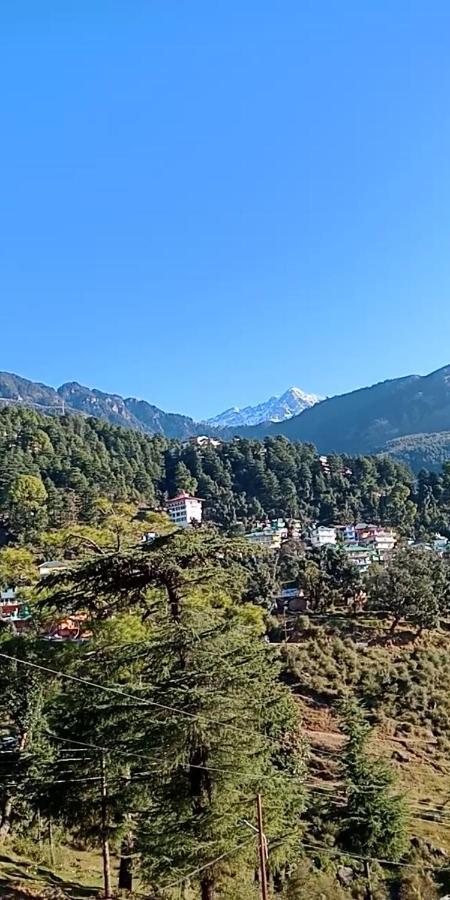 Hotel Pine Spring Dharamshala Exterior foto